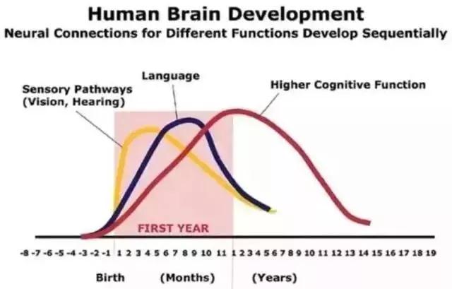 1588665348687862.jpg 微信图片_20200505155519.jpg